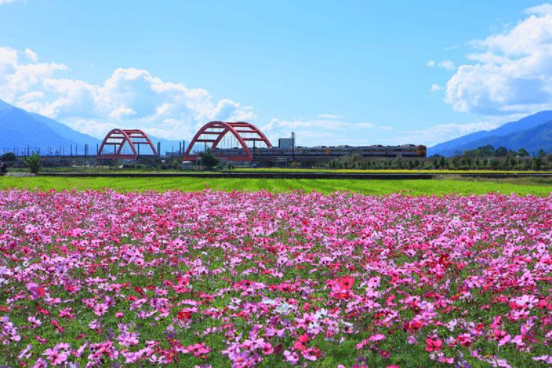 花海市政工程案例